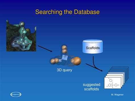 Ppt 3d Database Searching And Scaffold Hopping Powerpoint