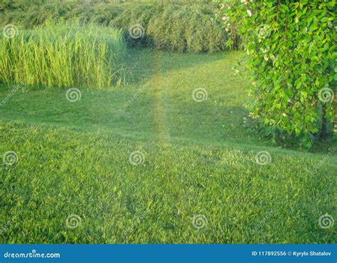 Watering The Grass2 Green Landscape Stock Photo Image Of Irrigate