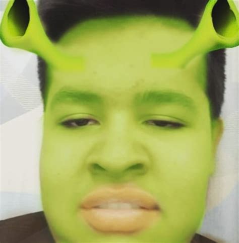 Photoshop You Into Shrek By Shrekifyme Fiverr