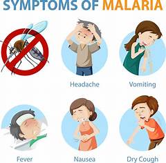 Symptoms Leading Up To Bfpabout
