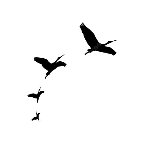 Gambar Siluet Burung Terbang Burung Terbang Burung Burung Burung Png