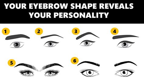 eyebrow shape personality test your eyebrows reveal your true personality traits