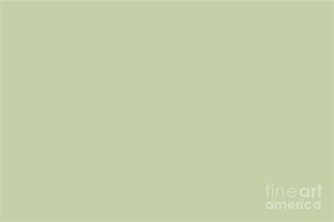 Muted Pastel Green Solid Color Pairs To Sherwin Williams Bonsai Tint Sw
