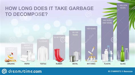 How Long Does It Take Garbage To Decompose In The Environment Vector