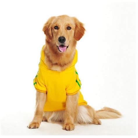 Find out what works well at warm springs pet hospital from the people who know best. Aliexpress.com : Buy New Dog Clothes For Winter Warm ...