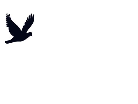 Animated Gif Bird Flying Bird Gif Animation Animated Robin Tumblr