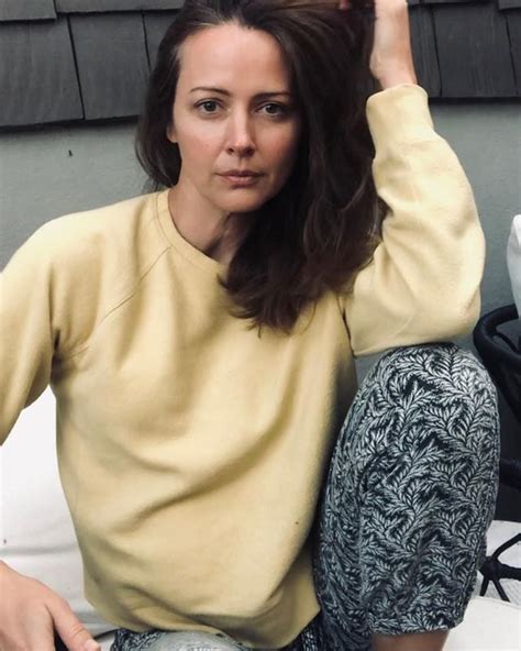 Amy Acker Picture