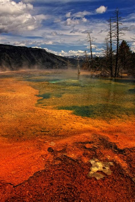 Maybe you would like to learn more about one of these? Montana, Mammoth hot springs | Montana camping ...