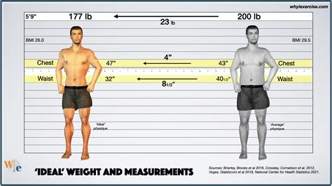 Ideal Male Body Weight