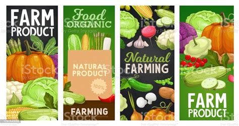 Sayuran Pertanian Dan Spanduk Sayuran Panen Makanan Ilustrasi Stok
