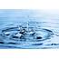 Global Water Initiative  Bankimpresanewscom