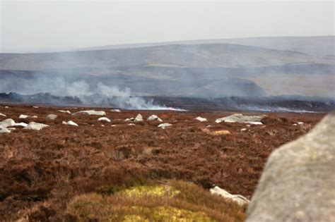 Moorland Burning New Petition Urges Yorkshire Councils To Back Ban