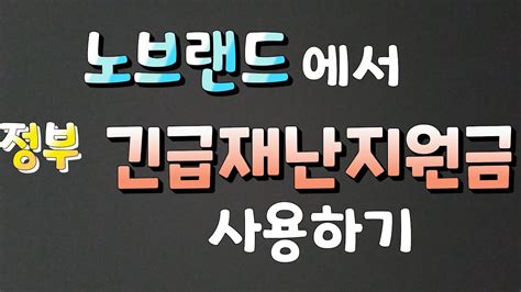 당정, 재난지원금 또 충돌 양상…전국민 vs 선별 지원. 노브랜드에서 재난지원금 사용하기 - YouTube