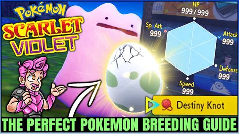 How To Get Perfect Pokemon Fast And Easy Full Breeding Guide Ivs Natures Pokemon Scarlet
