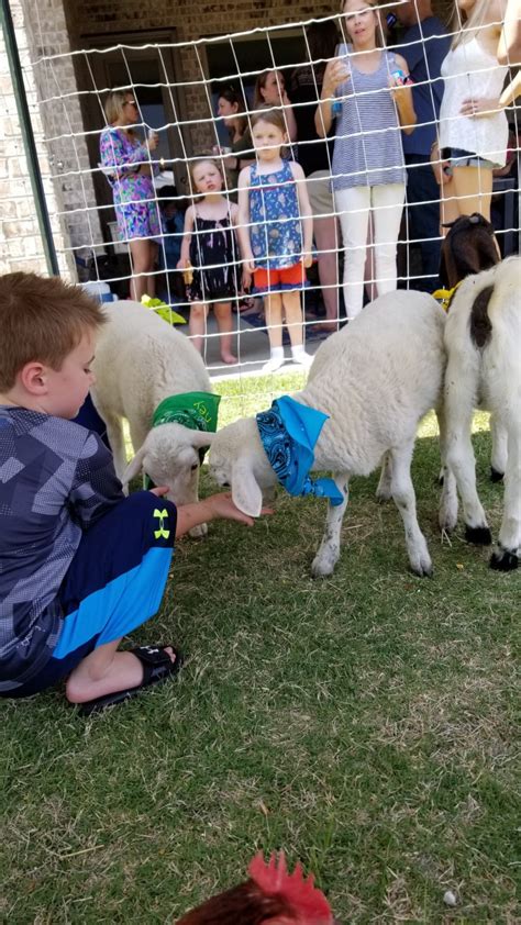 A unique interactive experience with animals starts from here! Mobile Petting Zoo Party - Farm Animal Petting Zoo -Dallas ...