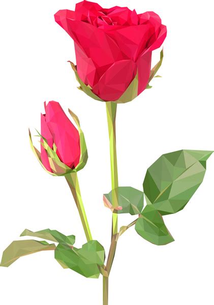 Beautiful Roses Vector Vectors Graphic Art Designs In Editable Ai Eps