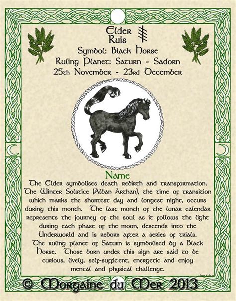 Celtic Zodiac Signs Celtic Tree Astrology Zodiac Symbols Astrology
