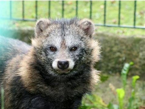 So macht die steiermark spaß: Tierpark Hirschfeld | Mamilade Ausflugsziele