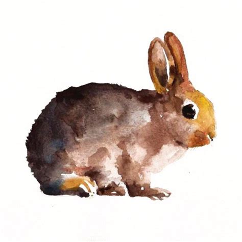 112 Best Images About Watercolor Rabbits On Pinterest Watercolor