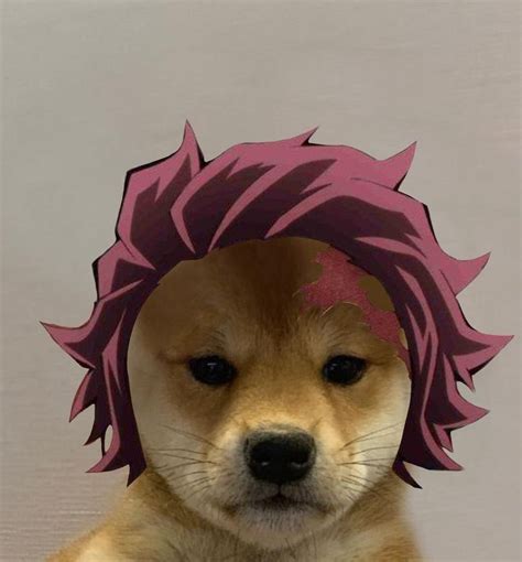 Pin De Jeyslla Uzumaki Em Icon De Doguinho Anime Engraçado Anime