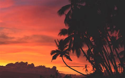 Download Wallpaper 3840x2400 Palm Trees Sunset Clouds Tropics Sky