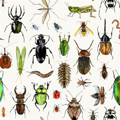 Creepy Crawlers Bug And Insects Fabric By The Yard Quilting Etsy