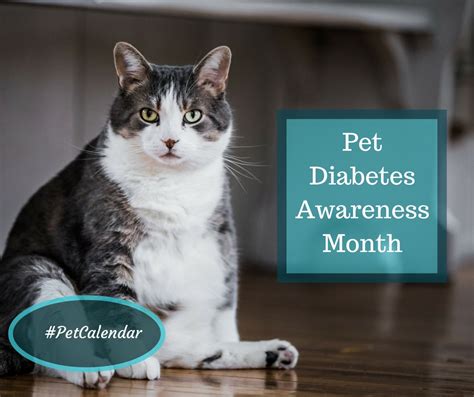 Pet Calendar Pet Diabetes Awareness Month Positively Woof