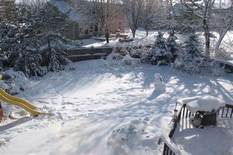 Snowy Backyard View Of Our Snow Covered Yard From A Bedroo Flickr