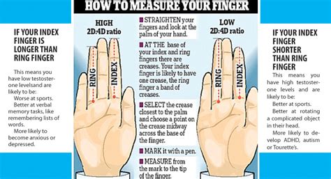 What Do Your Fingers Say About You Daily News