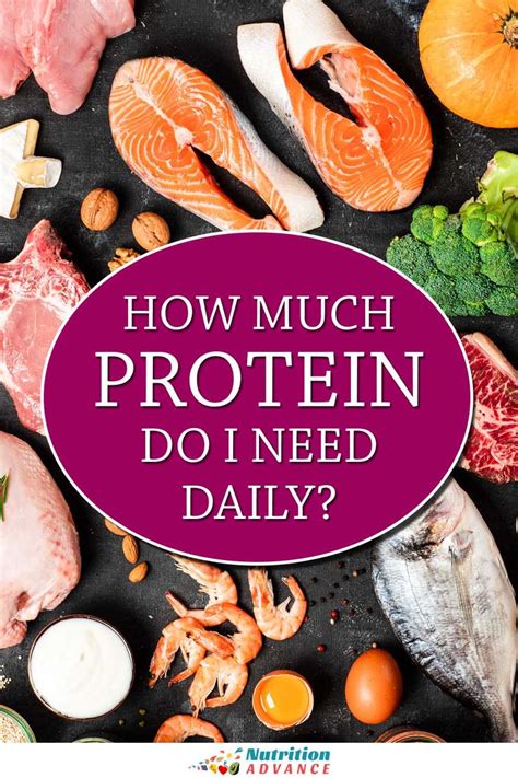 How Much Protein Do We Need Per Day In 2021 Nutrition Articles Nutrition Protein
