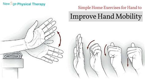 Simple Home Exercises For Hand To Improve Hand Mobility Do You Know