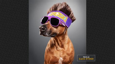 a brown dog wearing sunglasses and a purple headband with the minnesota