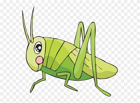 Download Easy To Draw Cricket Clipart Drawing Insect Clip Art Cricket