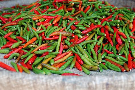 Free Images Food Produce Vegetable Flowering Plant Chili Pepper