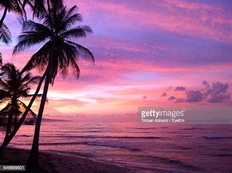 Barbados Beach Sunset Photos And Premium High Res Pictures Getty Images