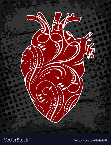 Anatomical Floral Human Heart Royalty Free Vector Image