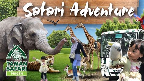 Safari Adventure Jalan Jalan Lihat Hewan Di Taman Safari Indonesia 2