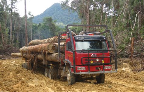 loader  logging truck karoseri