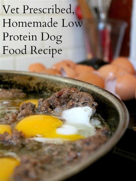 Here are some healthy dog food recipes to help your diabetic canine pet live a happy life. Diabetic Dog Food Recipes Homemade : 20 Ideas for Homemade Diabetic Dog Food Recipes - Best Diet ...