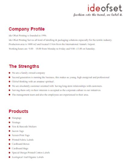 Company Profile Editable Template