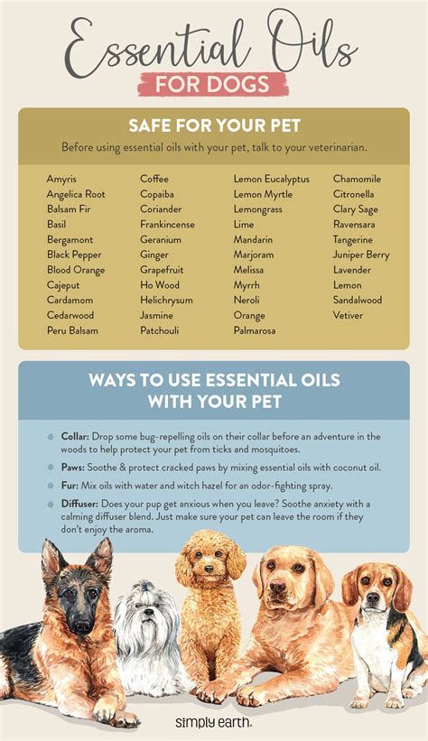 All You Need To Know About Essential Oils For Dogs Simply Earth Blog