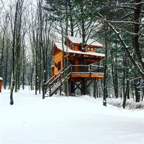 Vttourismthe Incredible Treehouse At Moose Meadow Lodge And Treehouse In
