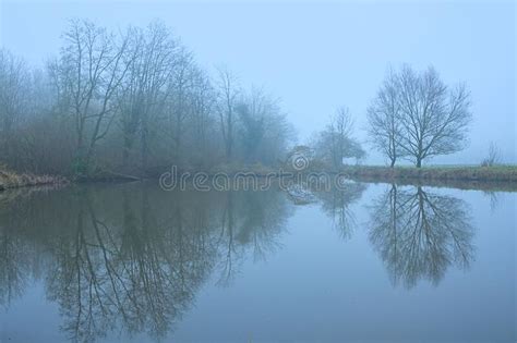 Misty Marsh Landscape In The Flemish Countryside Stock Photo Image Of