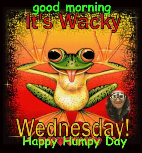 Happy Wednesday Wednesday Humor Wacky Wednesday Good Morning Wednesday