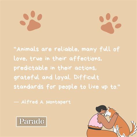 300 Best Pet Quotes To Share Your Love Parade Pets