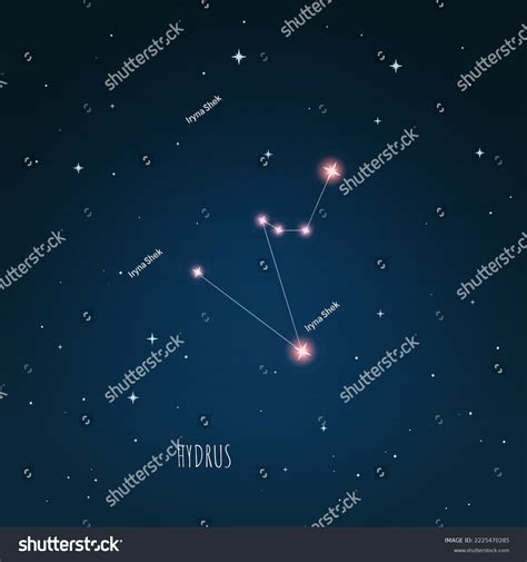 51 Constellation Hydrus Images Stock Photos And Vectors Shutterstock