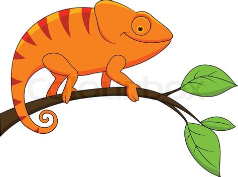 Rainforest Animals Clipart 20 Free Cliparts Download Images On