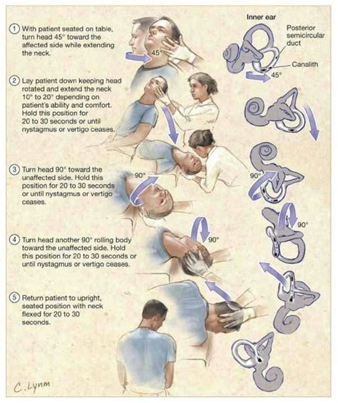 Jama On Twitter Physical Therapy Physical Therapy Exercises