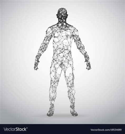 Abstract Wire Frame Human Body Polygonal 3d Model Vector Image