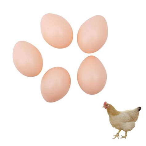 5pcs set hatching simulation hen poultry simulation artificial faux fake plastic eggs for
